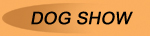 Dog shows