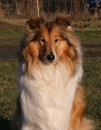 Bella
