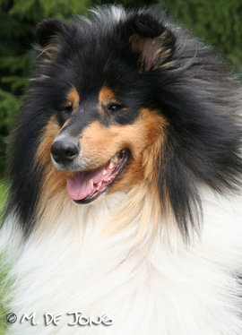 Geronimo